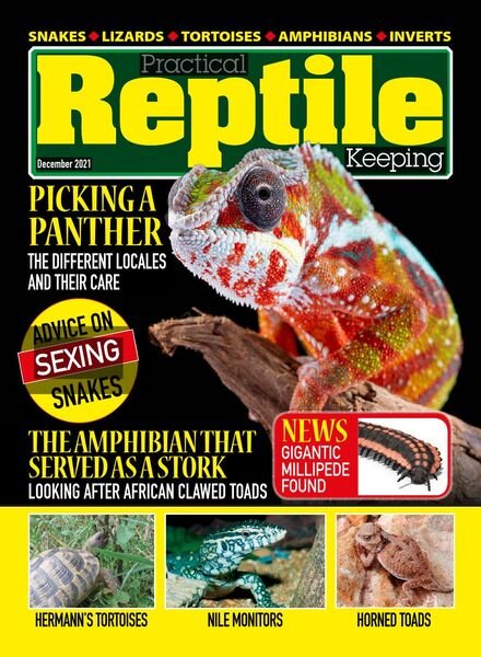 Practical Reptile Keeping – December 2021 Cover