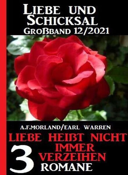 Uksak Liebe & Schicksal Grossband – Nr 12 2021 Cover