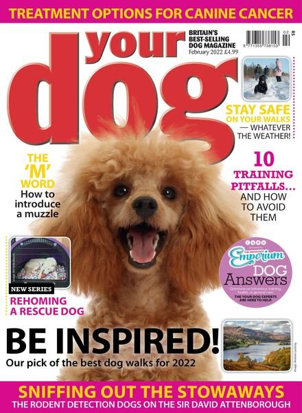 Your Dog – February 2022 Cover