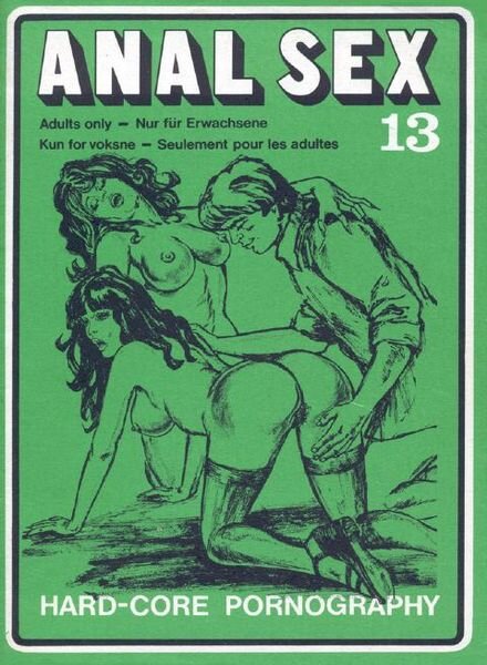 Anal Sex – N 13 Cover