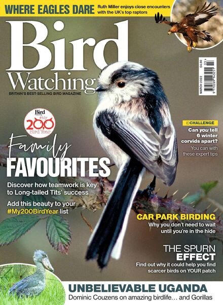 Bird Watching UK – March 2022 Cover
