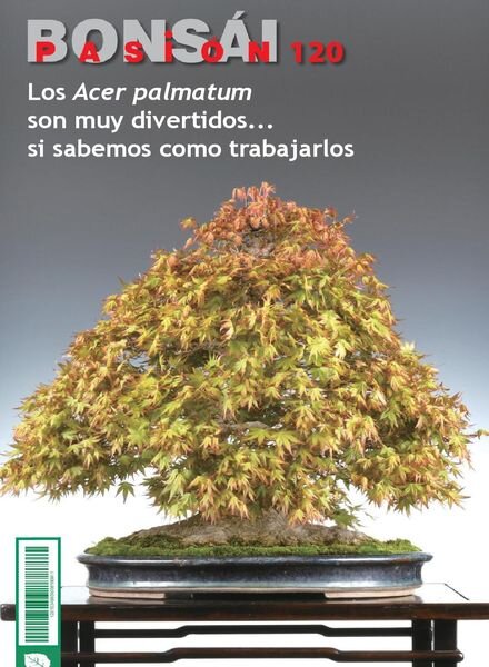 Bonsai Pasion – febrero 2022 Cover