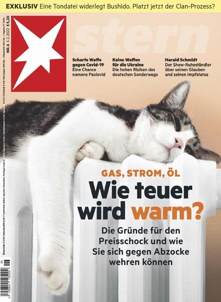 Der Stern – 03 Februar 2022 Cover