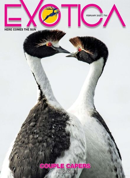 Exotica Magazine – February 2022 Cover