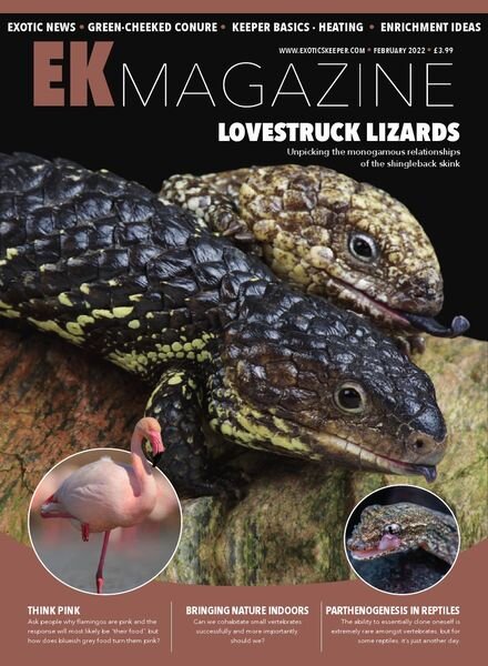 Exotics Keeper – February 2022 Cover