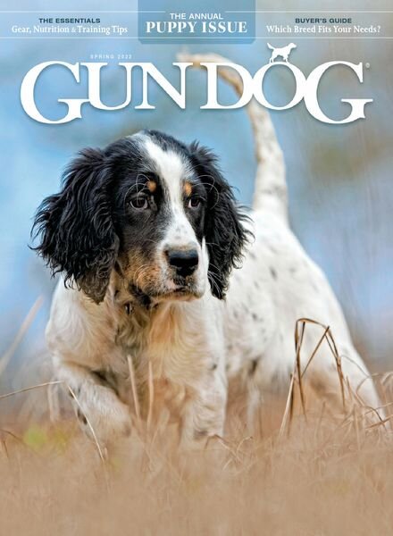 Gun Dog – April 2022 Cover
