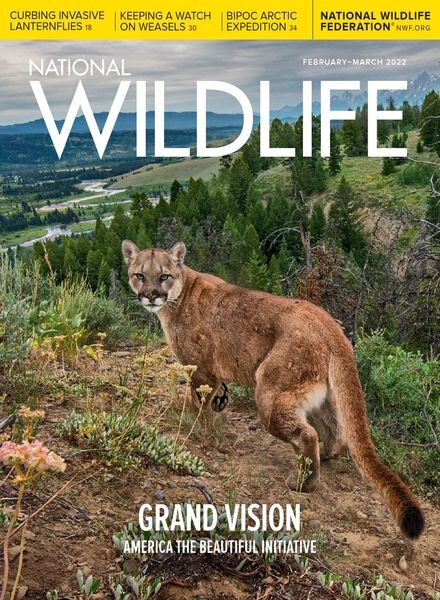 National Wildlife – February-March 2022 Cover