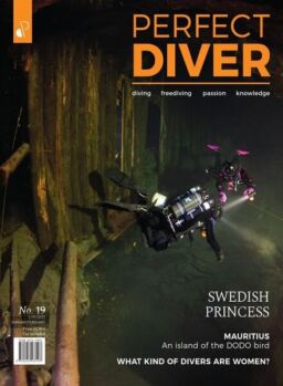 Perfect Diver – January-February 2022