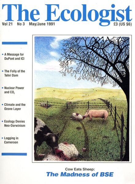 Resurgence & Ecologist – Ecologist, Vol 21 N 3 – May-June 1991 Cover