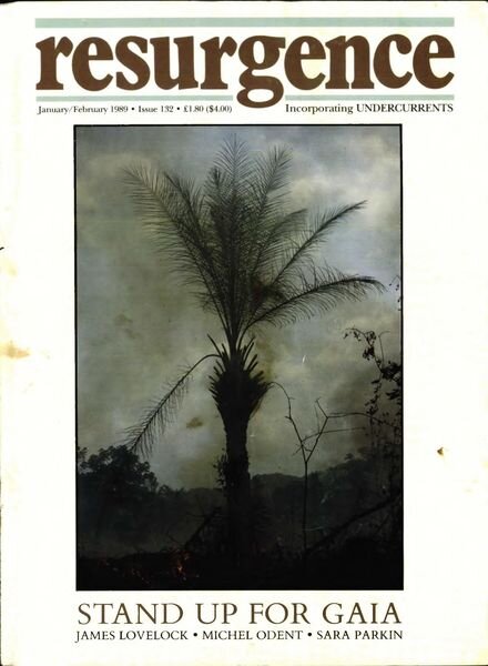 Resurgence & Ecologist – Resurgence 132 – January-February 1989 Cover