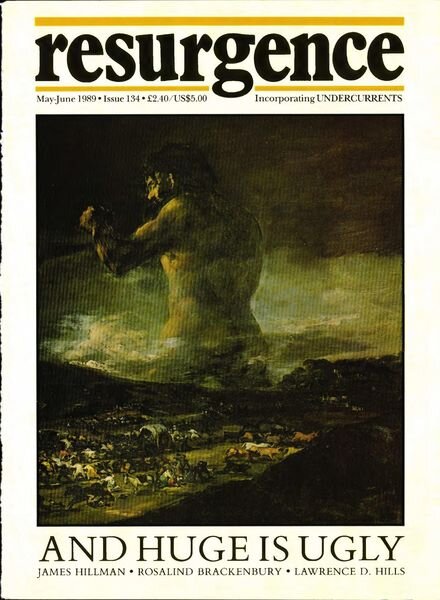 Resurgence & Ecologist – Resurgence 134 – May-June 1989 Cover