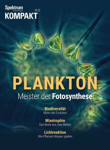 Spektrum Kompakt – Februar 2022 Cover
