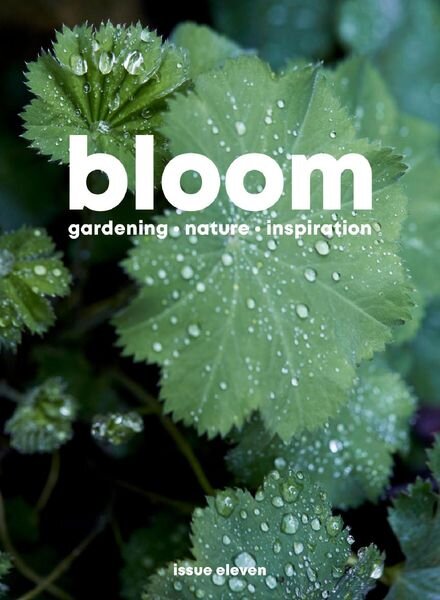 Bloom – February 2022 Cover