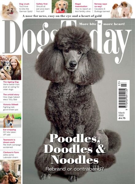 Dogs Today UK – March 2022 Cover