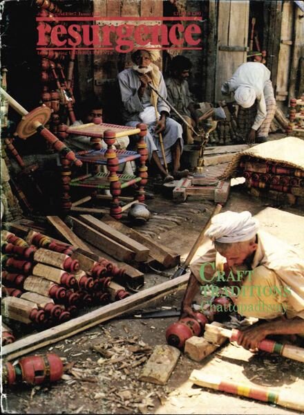 Resurgence & Ecologist – Resurgence 123 – July-August 1987 Cover