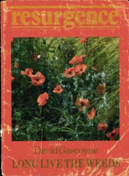 Resurgence & Ecologist – Resurgence 124 – Sepember-October 1987