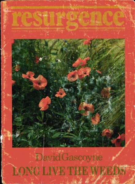 Resurgence & Ecologist – Resurgence 124 – Sepember-October 1987 Cover