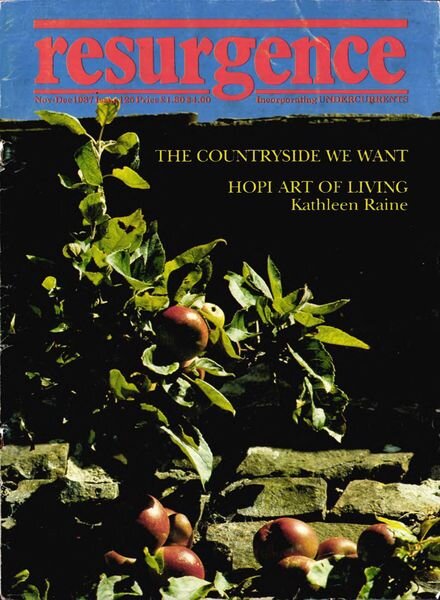 Resurgence & Ecologist – Resurgence 125 – November-December 1987 Cover