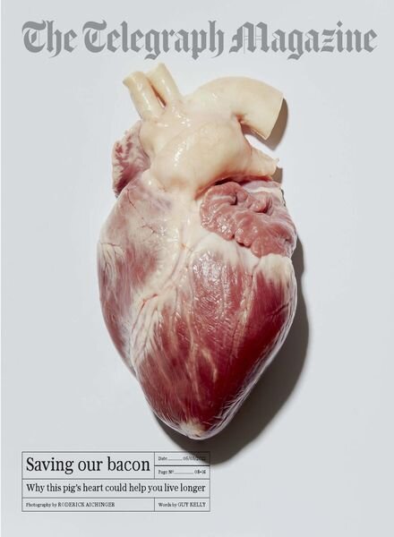 The Telegraph Magazine – 05 March 2022 Cover