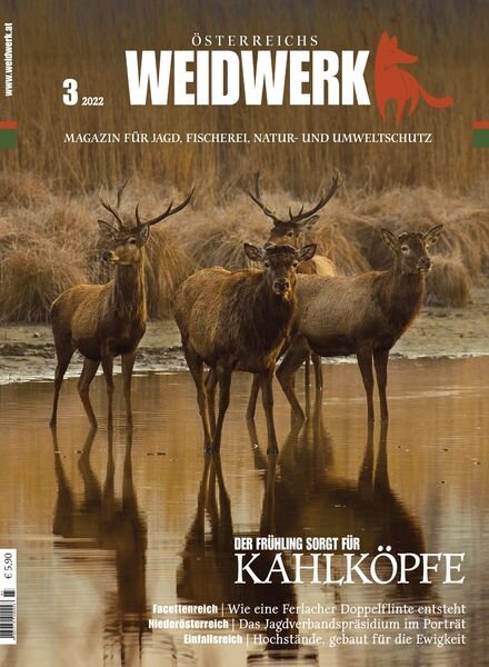 WEIDWERK – Marz 2022 Cover
