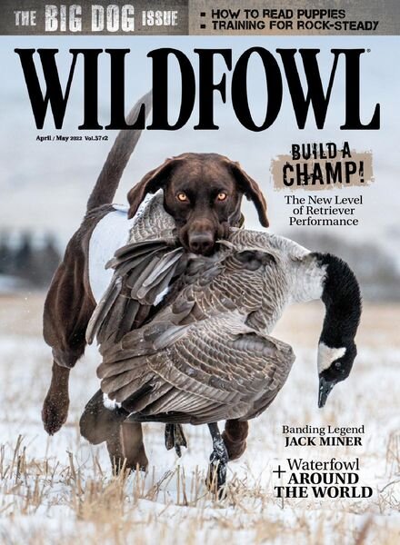 Wildfowl – April 2022 Cover