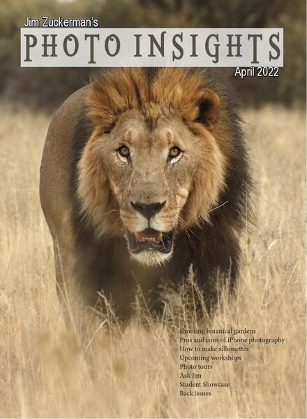 Photo Insights – April 2022 Cover