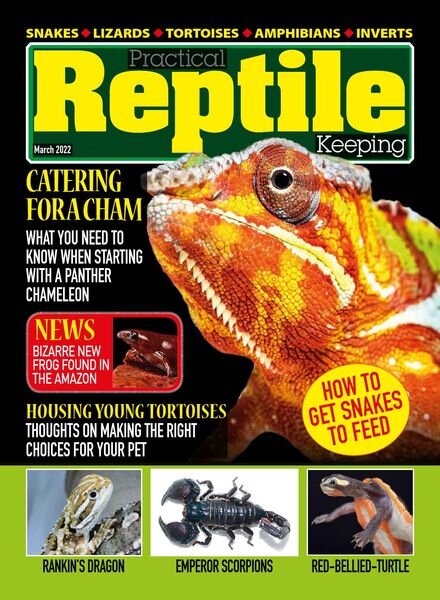 Practical Reptile Keeping – March 2022 Cover