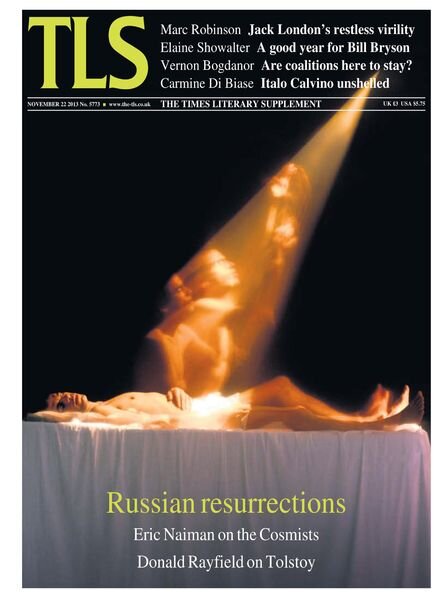 The Times Literary Supplement – 22 November 2013 Cover