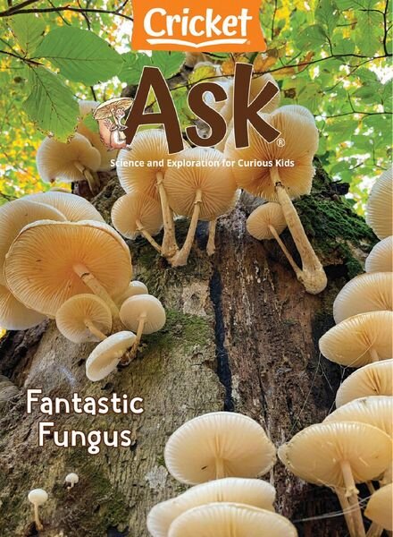 Ask – May 2022 Cover