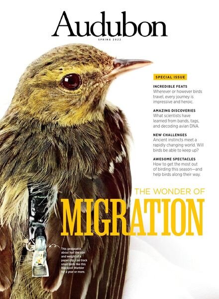 Audubon Magazine – April 2022 Cover