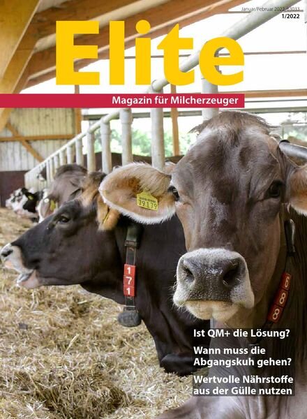 Elite – Dezember 2021 Cover
