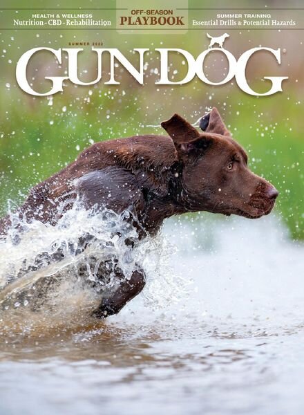 Gun Dog – May 2022 Cover