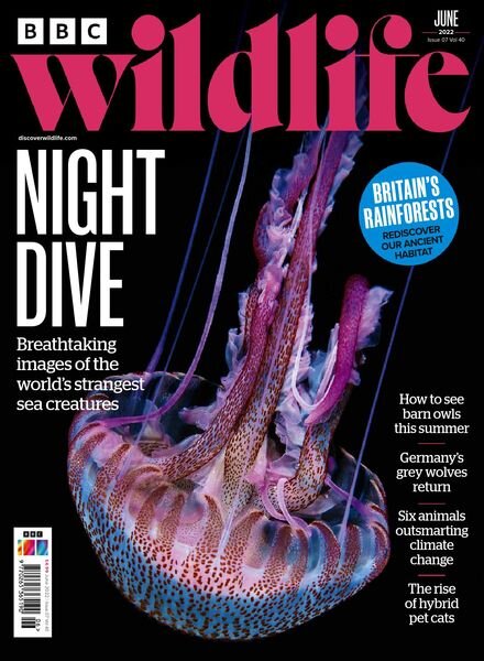 BBC Wildlife – June 2022 Cover
