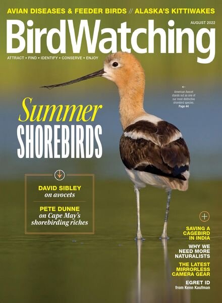 BirdWatching USA – July-August 2022 Cover