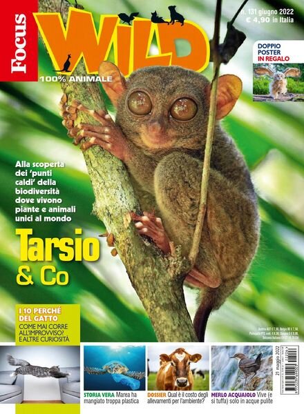 Focus Wild – giugno 2022 Cover