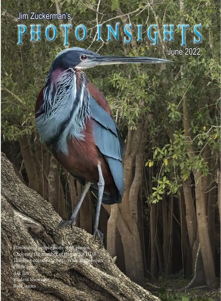 Photo Insights – June 2022 Cover
