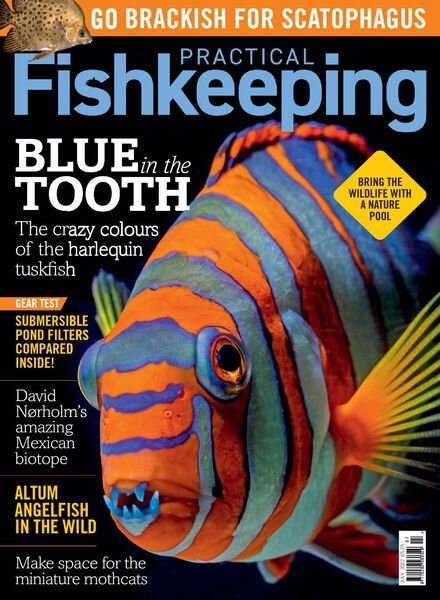 Practical Fishkeeping – July 2022 Cover
