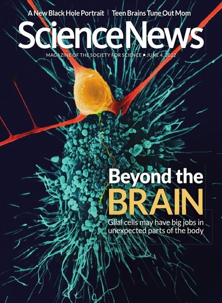 Science News – 04 June 2022 Cover
