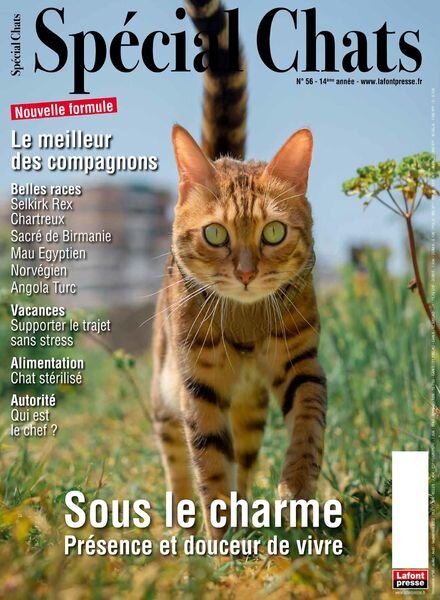Special Chats – Juillet-Septembre 2022 Cover
