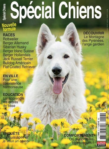 Special Chiens – Juillet-Septembre 2022 Cover