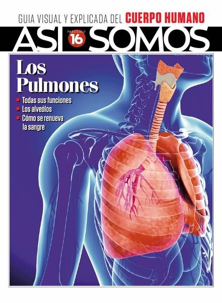 Asi Somos – El cuerpo humano – agosto 2022 Cover