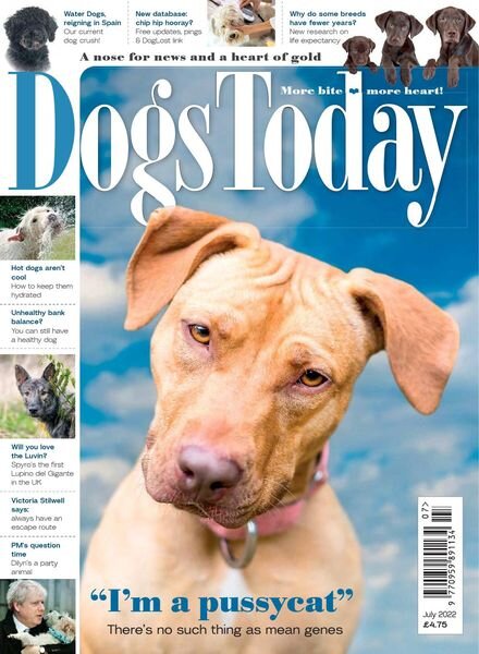 Dogs Today UK – July 2022 Cover