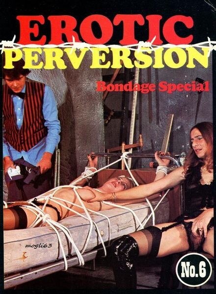 Erotic Perversion – Nr 6 Cover