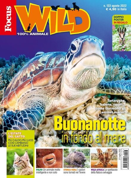 Focus Wild – agosto 2022 Cover