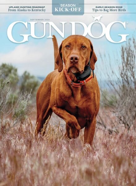 Gun Dog – September 2022 Cover