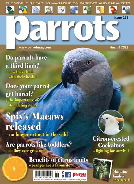 Parrots – August 2022 Cover
