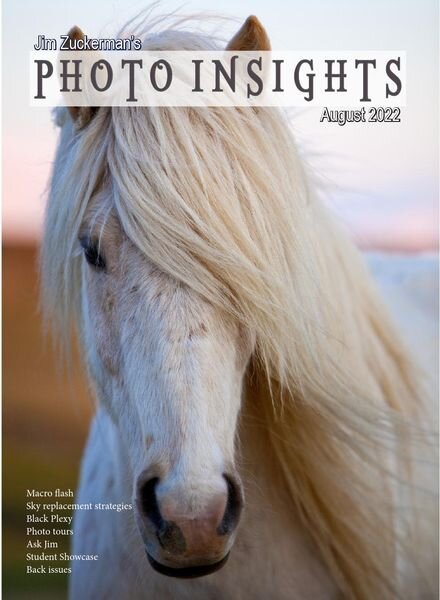 Photo Insights – August 2022 Cover