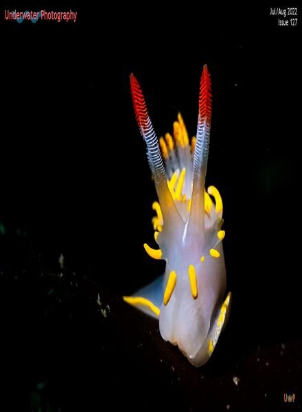 Underwater Photography – July-August 2022 Cover