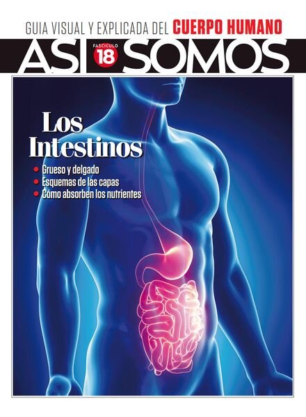 Asi Somos – El cuerpo humano – octubre 2022 Cover