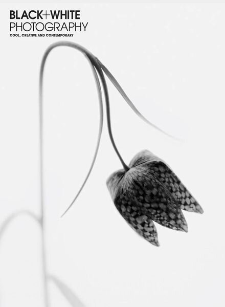 Black + White Photography – Issue 268 – August 2022 Cover